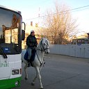 ����� �� ������� ���� ����������