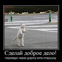 ���� �������, ������, 39 ��� - ��������� 23 ������� 2010 � ������ ��������������