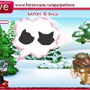 ���� �������, ������, 77 ��� - ��������� 8 ������� 2010 � ������ �PetLove�