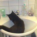 ���� �������, ���������, 49 ��� - ��������� 24 ������ 2011 � ������ �Magnificent�