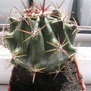 ���� ������, �������, 64 ���� - ��������� 16 ���� 2011 � ������ �����Ȼ