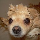 ���� �����, ����, 59 ��� - ��������� 10 ����� 2012 � ������ ���� ��������