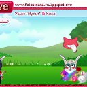  ,  -  19  2010   PetLove