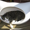 ���� Lana, ������, 37 ��� - ��������� 19 ������ 2010