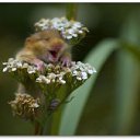 ���� ������, �������, 48 ��� - ��������� 28 ������ 2011 � ������ �qq�