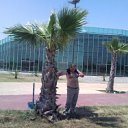 ���� ����, ������� - ��������� 30 ���� 2012 � ������ ���� ����������