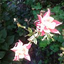 ���� ������, ������, 59 ��� - ��������� 21 ������� 2012 � ������ ���� ����