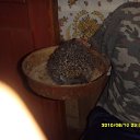 ���� 40nnn, �����-���������, 46 ��� - ��������� 18 ������� 2010 � ������ ���� �����������ʻ