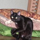 ���� ������, ������, 63 ���� - ��������� 27 ������� 2010 � ������ ���� ����-�����