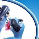  ,  , 23  -  12  2011   