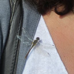 ������� � ��� ��������. ��� ����������� ���������� �������. � ������ ����� ��������� ���������� ���-�� ������, ��� ����� ��������� ������� � ����� ��������.