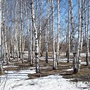  ,  -  3  2014    ...