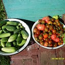 ���� ����, �����-���������, 49 ��� - ��������� 6 ������ 2013 � ������ ���� ����������