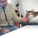 ���� Xxakra, ������ - ��������� 23 ������ 2014 � ������ ���� ����������