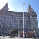 ���� ��������, ������, 49 ��� - ��������� 15 ������� 2013 � ������ �2013�