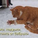 ���� ���, ������, 39 ��� - ��������� 6 ����� 2014 � ������ ������ ��������