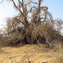 ���� �����, �������, 68 ��� - ��������� 29 ������ 2013 � ������ ���������