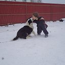 ���� ���������, �����������, 37 ��� - ��������� 4 ������ 2014 � ������ ���� ����������