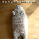 ���� ���, ������ - ��������� 7 ����� 2014 � ������ ������ ��������