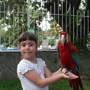  Donna, , 42  -  24  2013    