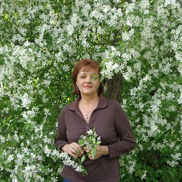 ���� ��������, ��������� - ��������� 11 ������ 2014