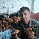 ���� ��� ���, ���������, 39 ��� - ��������� 22 �������� 2013 � ������ ������ ������߻