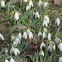 ���� �����, ������, 67 ��� - ��������� 21 ������� 2013 � ������ ���� ����������