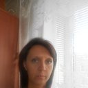 ���� �������, �����-���������, 43 ���� - ��������� 19 �������� 2013 � ������ ���