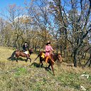 ���� ��������, �����, 72 ���� - ��������� 4 ������� 2013 � ������ ���� ����������