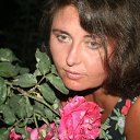   , , 53  -  6  2013   2013 