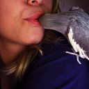 ��� ����� ����������� �������, � �� ������))))) �� ������� ���� ����������