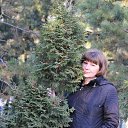 ���� ����, �����������, 52 ���� - ��������� 16 ������ 2013 � ������ ���� ����������