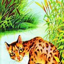 ���� ����, ��������, 22 ���� - ��������� 7 �������� 2013 � ������ ����� �������