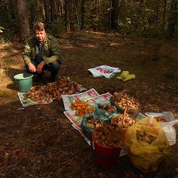 ���� ����, ������, 69 ��� - ��������� 11 ������ 2013