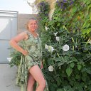  , , 56  -  19  2013   -2013