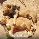 ���� ���������, ���������, 54 ���� - ��������� 25 ������� 2014 � ������ ������ ��������