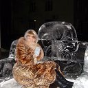 ���� �����, ������ �����, 64 ���� - ��������� 5 ����� 2014 � ������ ���� ����������