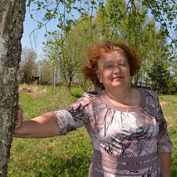 �����������, �����, 74 ����