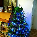 ���� Fagan, ����, 34 ���� - ��������� 27 ������� 2013
