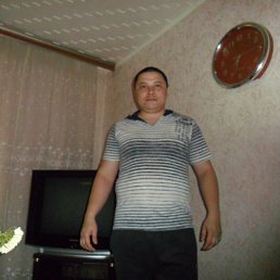 ���� ����������, ���������, 44 ���� - ��������� 3 ������� 2013