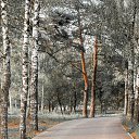 ���� ������, ������ ��������, 56 ��� - ��������� 12 ������� 2013 � ������ �������