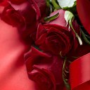 ���� ������, ������������ - ��������� 26 ������� 2014 � ������ ������ ��������