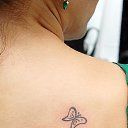 , , 42  -  25  2013   tatu