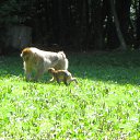 ���� �������, ����������� - ��������� 3 ������ 2013 � ������ ���� ������ �������� (��������, �������)�