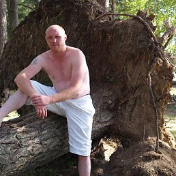 Vasja, ���������, 45 ���