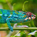 ���� ����, ���, 23 ���� - ��������� 8 ������ 2014 � ������ ���� ���� ������