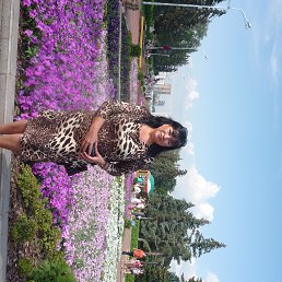 ���� ������� ���������, ������, 63 ���� - ��������� 19 ������� 2013