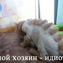 ���� �������, �������, 72 ���� - ��������� 27 ������ 2014 � ������ ������ ��������