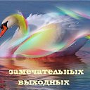 ���� �������, ���������� - ��������� 11 ������ 2014 � ������ ������ ��������