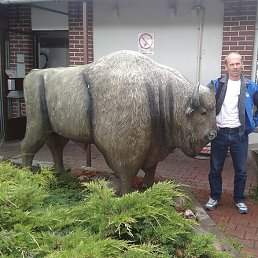 West13, ����, 56 ���